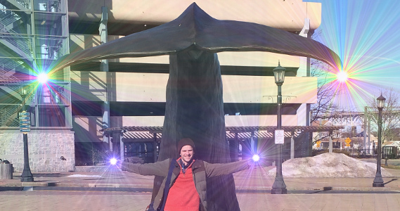 kent-WhalesTale-2d-30h